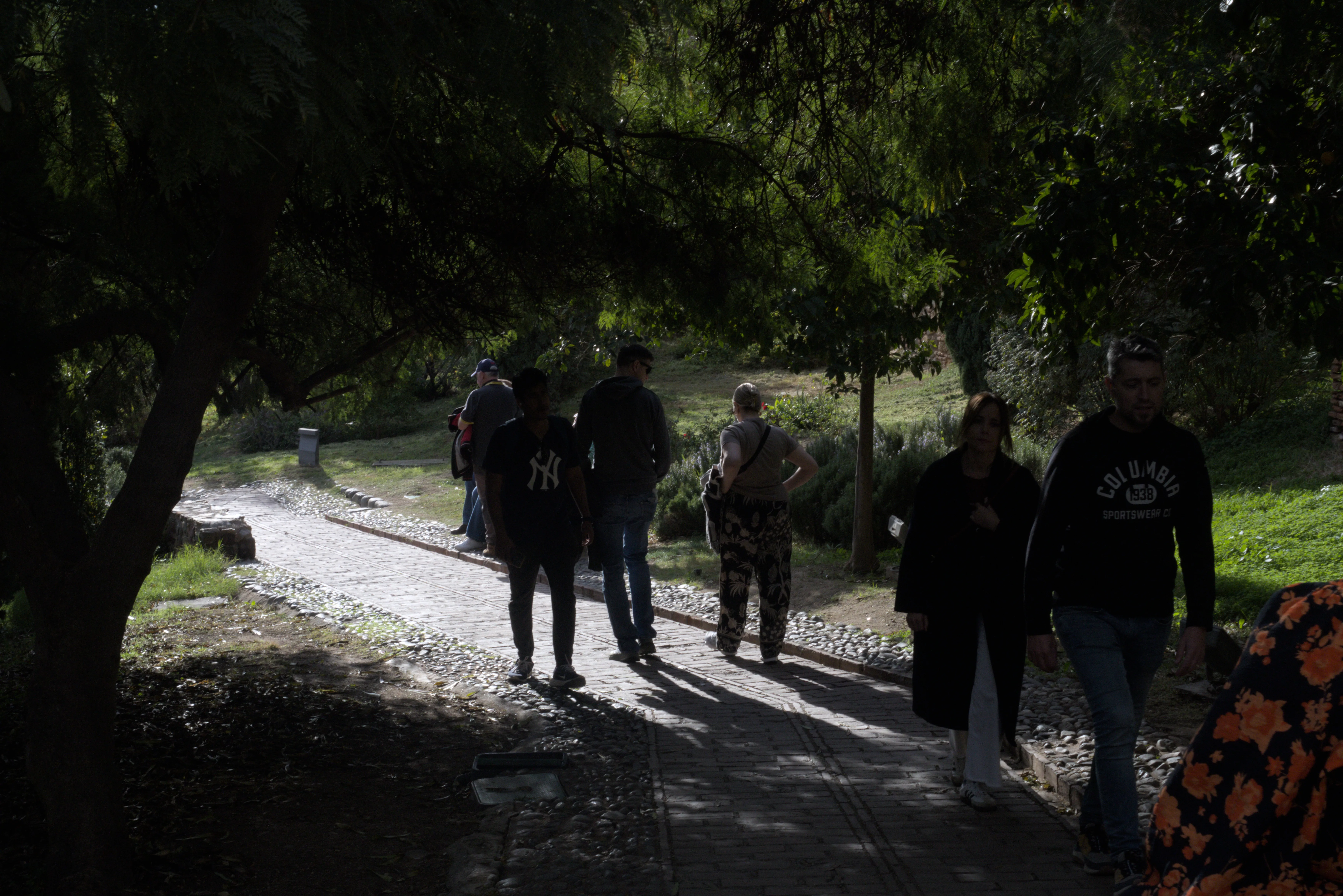 Meyer-Optik Görlitz Primagon 35mm f4.5 (M42) - _I4A7311.webp